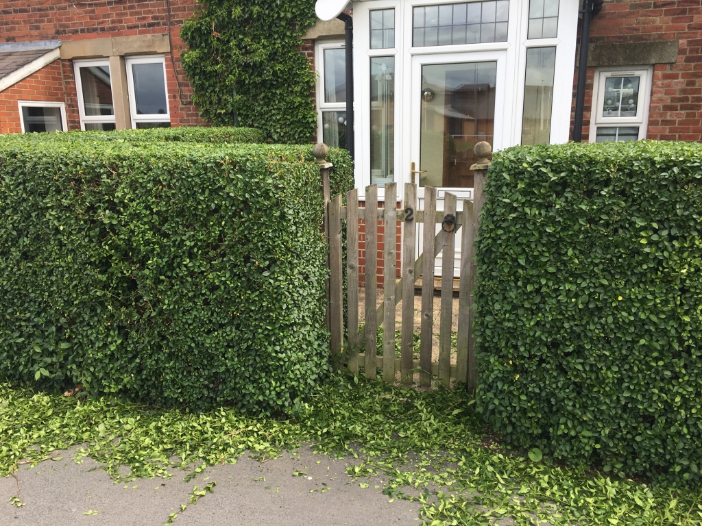 HEDGE TRIM 2